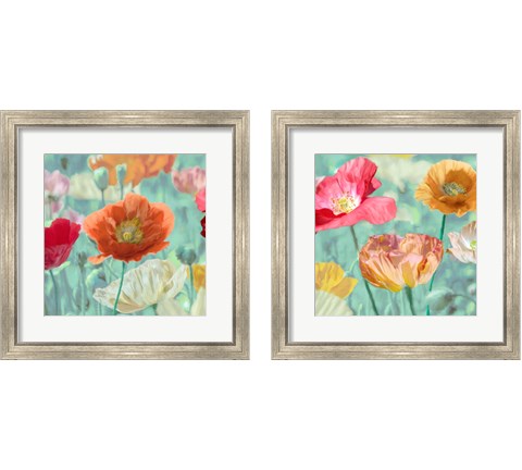 Poppies in Bloom  2 Piece Framed Art Print Set by Cynthia Ann