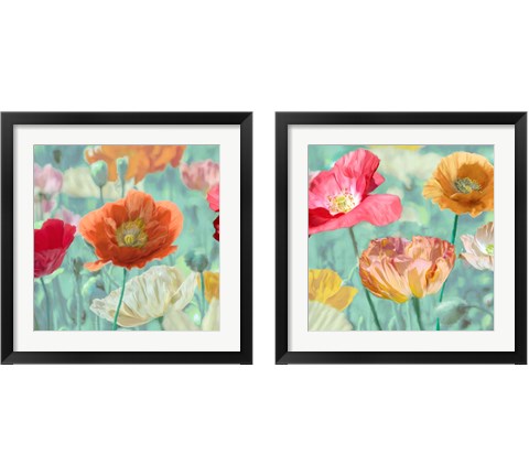 Poppies in Bloom  2 Piece Framed Art Print Set by Cynthia Ann