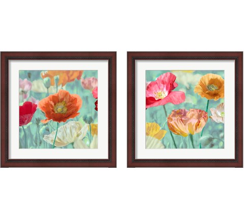 Poppies in Bloom  2 Piece Framed Art Print Set by Cynthia Ann