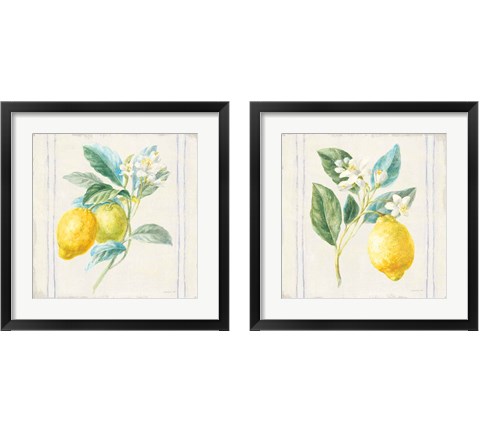 Floursack Lemons Sq Navy 2 Piece Framed Art Print Set by Danhui Nai