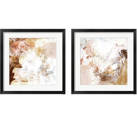 Blush & Umber 2 Piece Framed Art Print Set by Victoria Borges