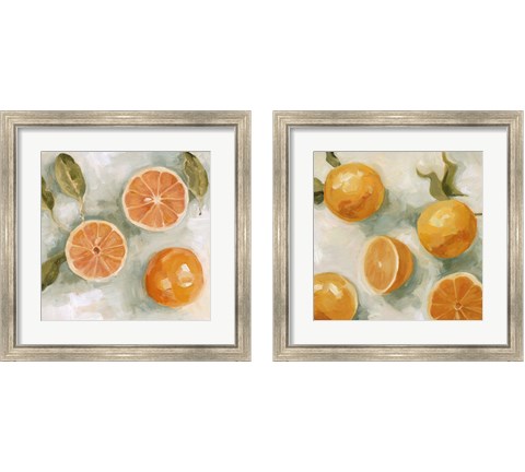 Fresh Citrus 2 Piece Framed Art Print Set by Emma Scarvey