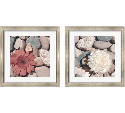 Stone Crop 2 Piece Framed Art Print Set by Jason Johnson