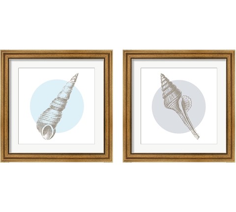 Conchology Sketches 2 Piece Framed Art Print Set by Wild Apple Portfolio