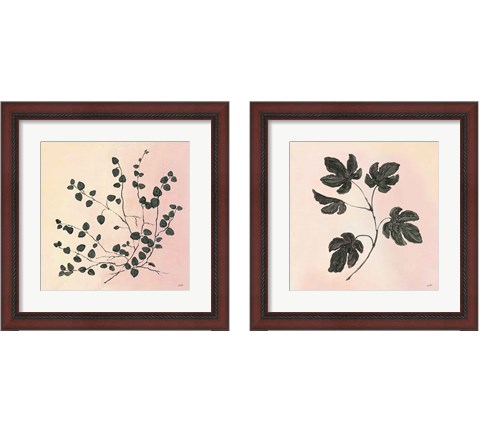 Botanical Study Blush 2 Piece Framed Art Print Set by Julia Purinton