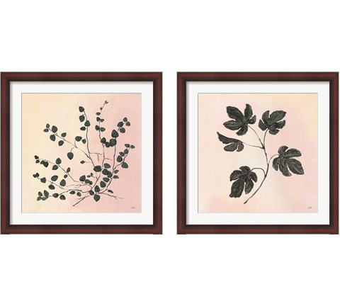 Botanical Study Blush 2 Piece Framed Art Print Set by Julia Purinton