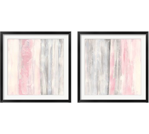 Whitewashed Blush 2 Piece Framed Art Print Set by Chris Paschke