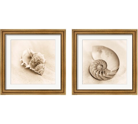 Il Oceano 2 Piece Framed Art Print Set by Alan Blaustein