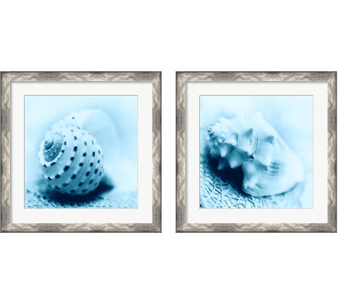 Nautica 2 Piece Framed Art Print Set by Alan Blaustein