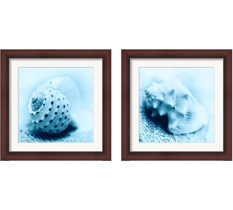 Nautica 2 Piece Framed Art Print Set by Alan Blaustein