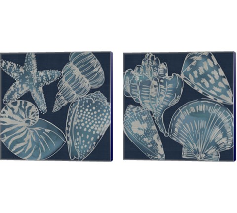 Marine Shells 2 Piece Canvas Print Set by Chariklia Zarris