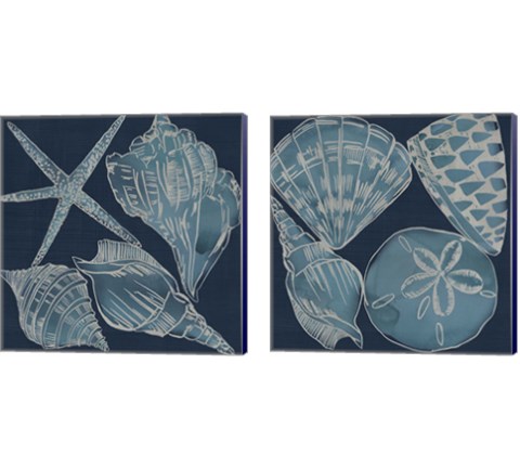 Marine Shells 2 Piece Canvas Print Set by Chariklia Zarris