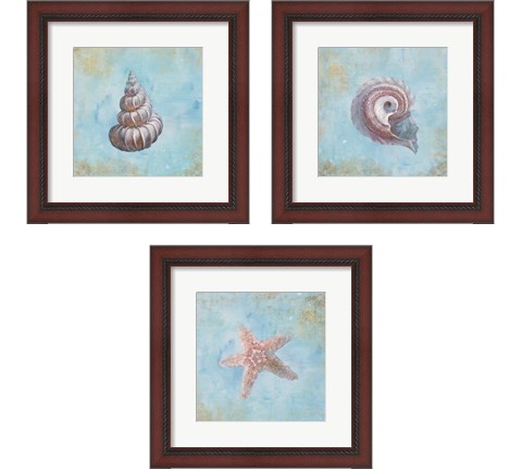 Treasures from the Sea Watercolor 3 Piece Framed Art Print Set by Danhui Nai