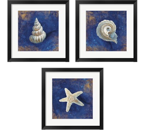 Treasures from the Sea Indigo 3 Piece Framed Art Print Set by Danhui Nai