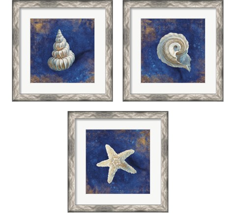 Treasures from the Sea Indigo 3 Piece Framed Art Print Set by Danhui Nai