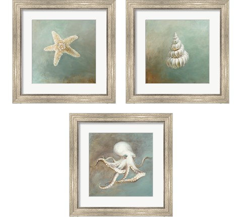 Treasures from the Sea 3 Piece Framed Art Print Set by Danhui Nai