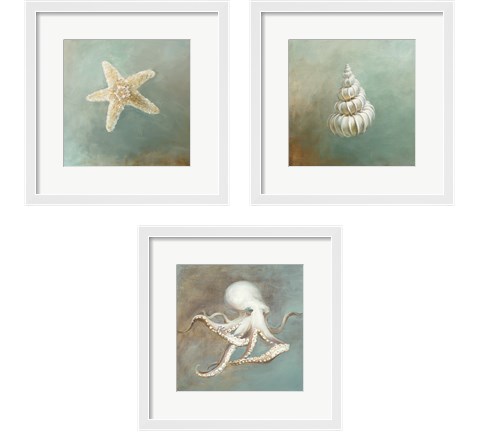 Treasures from the Sea 3 Piece Framed Art Print Set by Danhui Nai