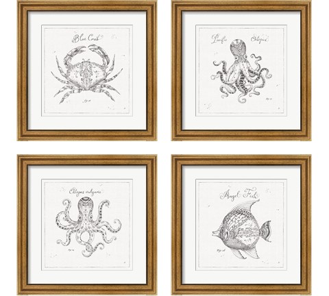 Underwater Life 4 Piece Framed Art Print Set by Daphne Brissonnet