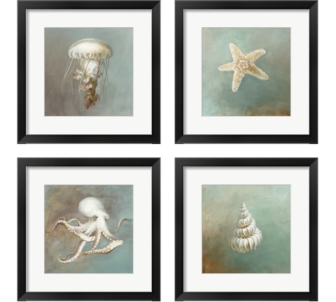 Treasures from the Sea 4 Piece Framed Art Print Set by Danhui Nai