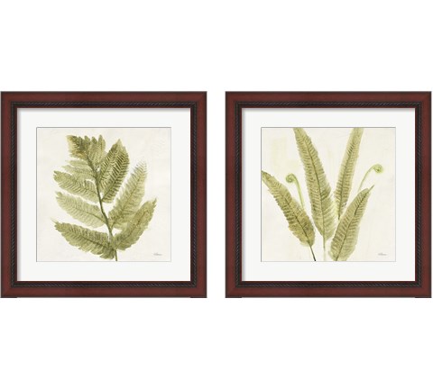 Forest Ferns 2 Piece Framed Art Print Set by Albena Hristova