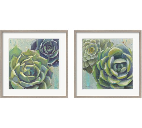 Succulents  2 Piece Framed Art Print Set by Wellington Studio