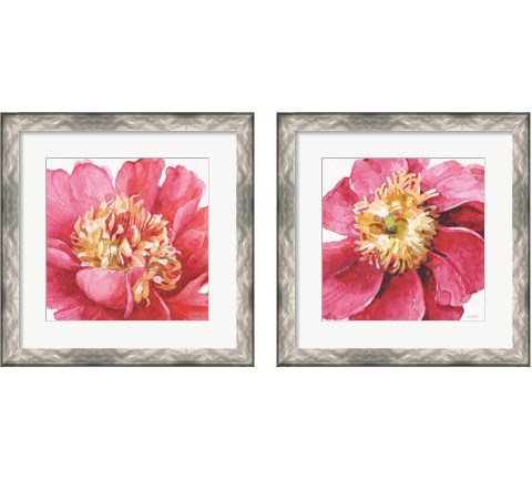 Pink Garden 2 Piece Framed Art Print Set by Lisa Audit