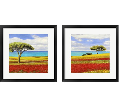 Mediterraneo  2 Piece Framed Art Print Set by Angelo Masera