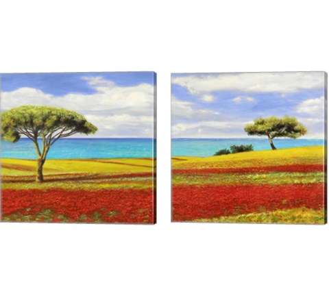 Mediterraneo  2 Piece Canvas Print Set by Angelo Masera