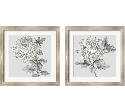 Grey Botanical 2 Piece Framed Art Print Set by Eva Watts