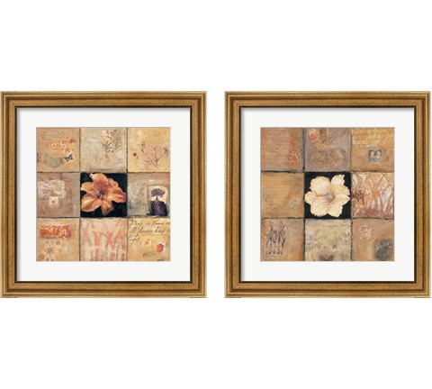 Golden Light Composition 2 Piece Framed Art Print Set by Judi Bagnato