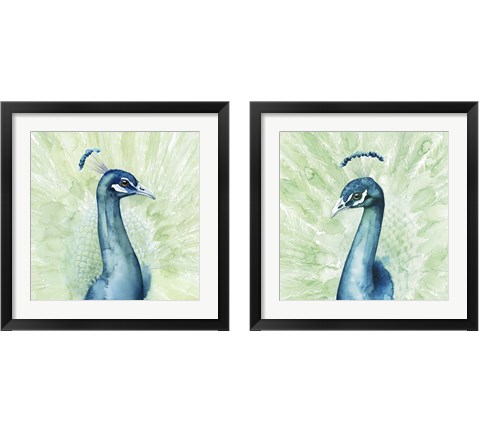 Lucent Plume 2 Piece Framed Art Print Set by Grace Popp