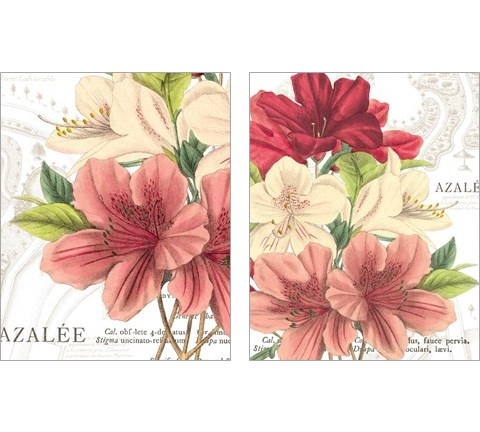 Azalee Jardin 2 Piece Art Print Set by Wild Apple Portfolio