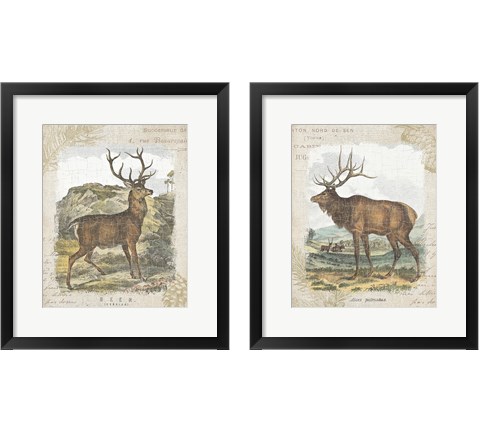 Woodland Stag 2 Piece Framed Art Print Set by Wild Apple Portfolio