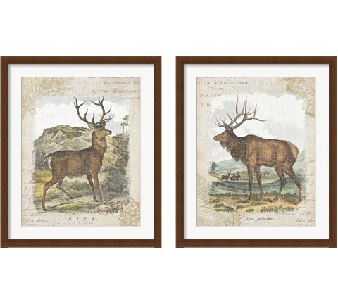 Woodland Stag 2 Piece Framed Art Print Set by Wild Apple Portfolio