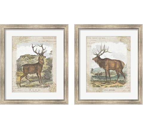 Woodland Stag 2 Piece Framed Art Print Set by Wild Apple Portfolio