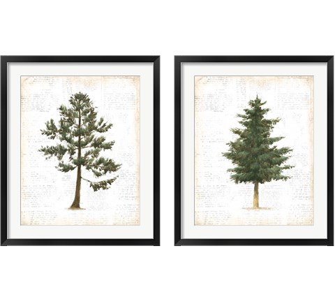 Into the Woods 2 Piece Framed Art Print Set by Emily Adams