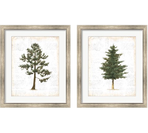 Into the Woods 2 Piece Framed Art Print Set by Emily Adams