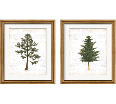 Into the Woods 2 Piece Framed Art Print Set by Emily Adams