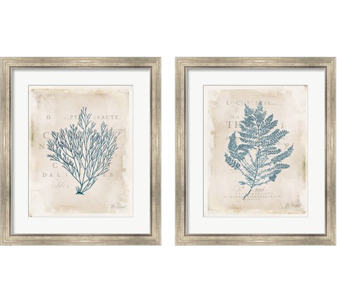 Sea Garden 2 Piece Framed Art Print Set by Katie Pertiet