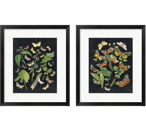 Butterfly Bouquet on Black 2 Piece Framed Art Print Set by Wild Apple Portfolio