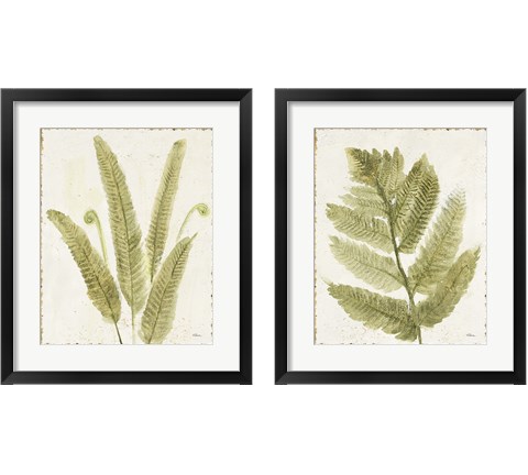 Forest Ferns 2 Piece Framed Art Print Set by Albena Hristova