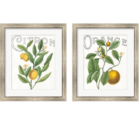 Classic Citrus 2 Piece Framed Art Print Set by Sue Schlabach