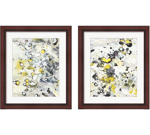 Topo 2 Piece Framed Art Print Set by Jodi Fuchs