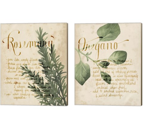 Herb Study 2 Piece Canvas Print Set by Grace Popp