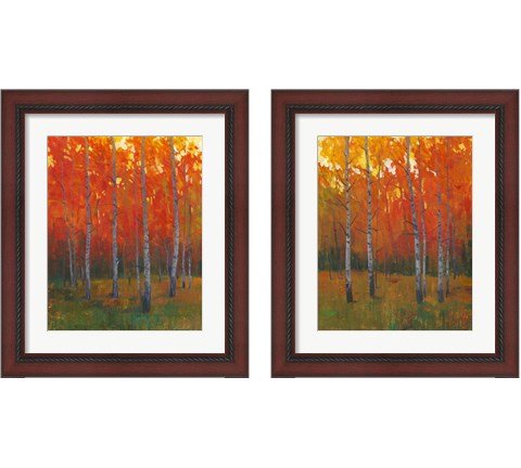 Changing Colors 2 Piece Framed Art Print Set by Timothy O'Toole