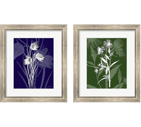 Jewel Stems 2 Piece Framed Art Print Set by James Burghardt