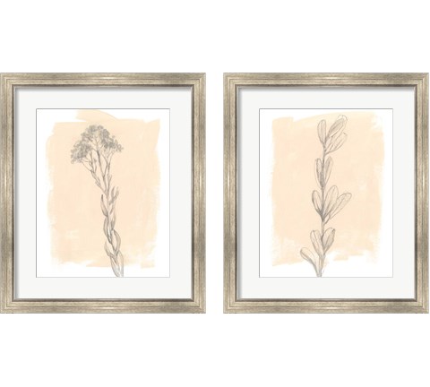 Branch on Blush 2 Piece Framed Art Print Set by Jennifer Goldberger