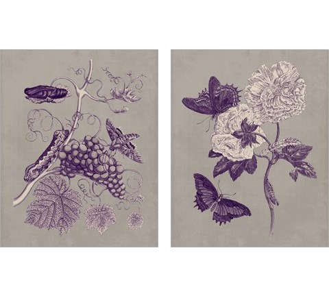 Nature Study in Plum & Taupe 2 Piece Art Print Set by Maria Sibylla Merian
