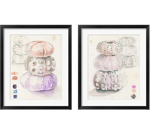 Sea Urchin Sketches 2 Piece Framed Art Print Set by Jennifer Parker