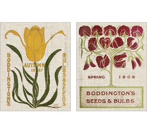 Flower Seed Packs 2 Piece Art Print Set by Vision Studio